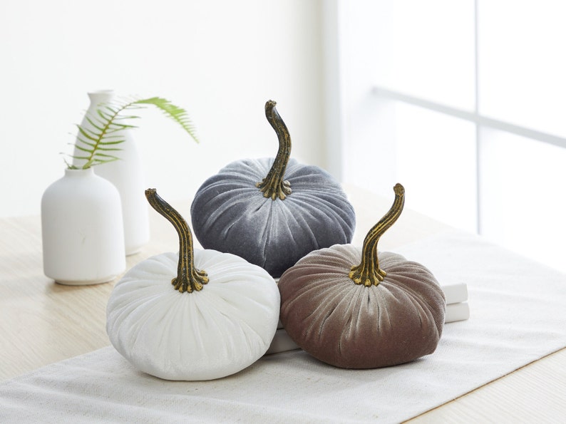 Små sammetspumpor och rustikt träbricka med handtag, mysig presentpumpabricka för soffbord, neutral lantlig inredning i vardagsrummet bild 5