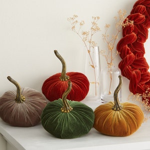 Pu&ograve; includere: Quattro zucche di velluto in diversi colori: rosso, marrone, verde e arancione. Le zucche sono disposte su una superficie bianca.