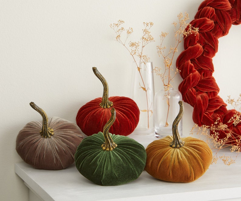 Pu&ograve; includere: Quattro zucche di velluto in diversi colori: rosso, marrone, verde e arancione. Le zucche sono disposte su una superficie bianca.