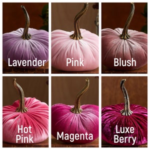 May include: Six velvet pumpkins in various shades of pink, purple, and red. The pumpkins are arranged in two rows of three. The colours are labelled: Lavender, Pink, Blush, Hot Pink, Magenta, and Luxe Berry.