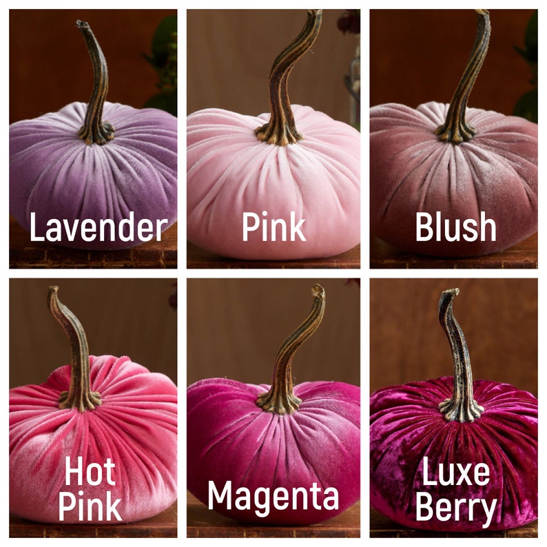 May include: Six velvet pumpkins in various shades of pink, purple, and red. The pumpkins are arranged in two rows of three. The colours are labelled: Lavender, Pink, Blush, Hot Pink, Magenta, and Luxe Berry.