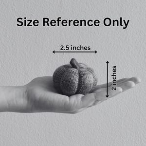 May include: A small, knitted pumpkin in shades of gray, measuring 2.5 inches wide and 2 inches tall. The pumpkin is held in a hand, with the text "Size Reference Only" above it.