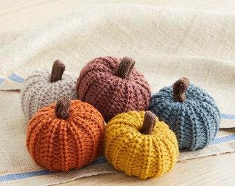 Mini Knit Pumpkins Set of 5 Earth Tone, Fall Home Decorations, Cozy Home Decor, Woodland Nursery Decor, Coffee Table Decoration, Bowl Filler