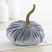 see more listings in the Small Velvet Pumpkins section