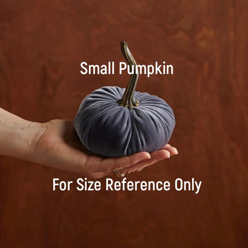 Pu&ograve; includere: Una piccola zucca di velluto grigio con uno stelo dorato. "Small Pumpkin" e "For Size Reference Only" sono scritti sotto la zucca.