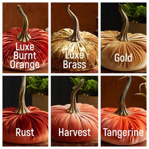 May include: Six velvet pumpkins in various shades of orange and gold. The pumpkins are labeled with names like "Luxe Burnt Orange", "Luxe Brass", "Gold", "Rust", "Harvest", and "Tangerine".