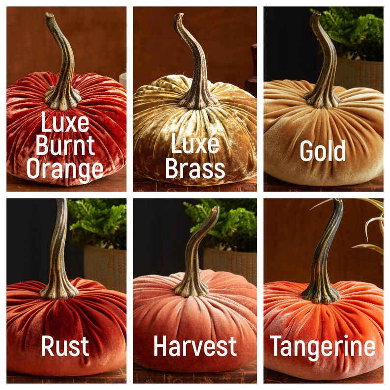 May include: Six velvet pumpkins in various shades of orange and gold. The pumpkins are labeled with names like "Luxe Burnt Orange", "Luxe Brass", "Gold", "Rust", "Harvest", and "Tangerine".