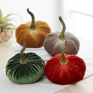 May include: Four velvet pumpkins in different colors: gold, gray, green, and red. The pumpkins are all about 5 inches tall and have a classic pumpkin shape.