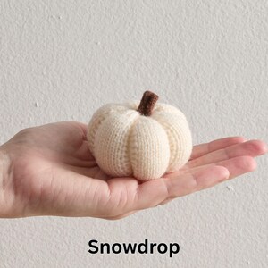 May include: A small, cream-colored knitted pumpkin with a brown stem. The pumpkin is held in a hand, and the word "Snowdrop" is written in black at the bottom of the image.