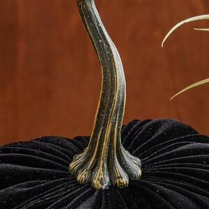 May include: Black velvet pumpkin with a gold-toned stem. The pumpkin has a textured surface and is a decorative item.