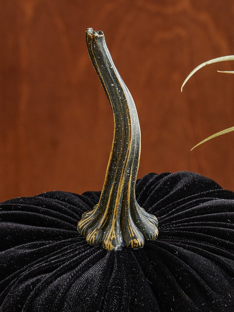 May include: Black velvet pumpkin with a gold-toned stem. The pumpkin has a textured surface and is a decorative item.