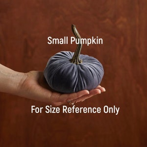 May include: A small, gray velvet pumpkin with a gold stem. "Small Pumpkin" and "For Size Reference Only" are written below the pumpkin.