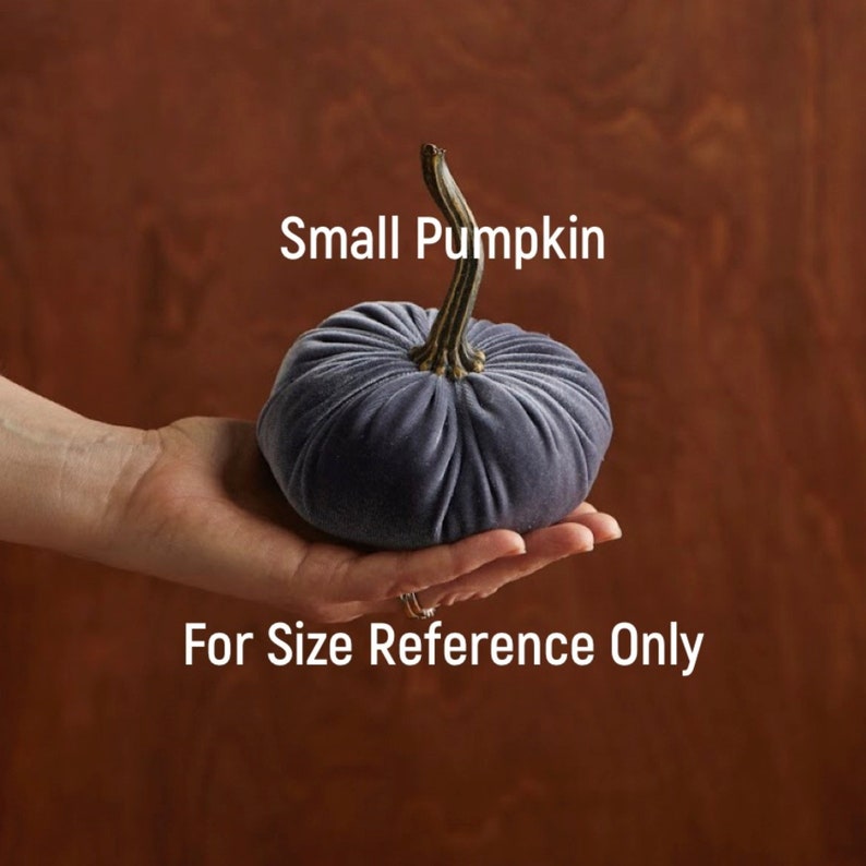 May include: A small, gray velvet pumpkin with a gold stem. "Small Pumpkin" and "For Size Reference Only" are written below the pumpkin.