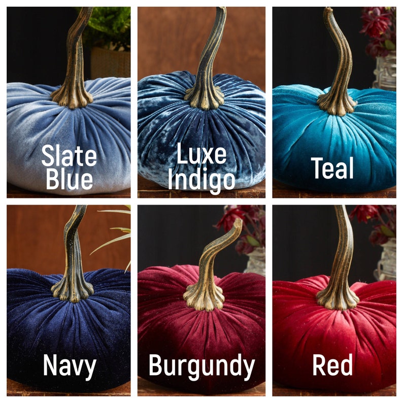 K&ouml;nnte beinhalten: Sechs Samt-K&uuml;rbisse in verschiedenen Farben, darunter Schieferblau, Luxus-Indigo, Teal, Marineblau, Burgunderrot und Rot. Die K&uuml;rbisse haben eine traditionelle Form und einen goldfarbenen Stiel.