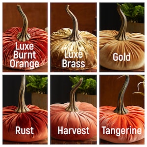 K&ouml;nnte beinhalten: Sechs Samt-K&uuml;rbisse in verschiedenen Oranget&ouml;nen und Gold. Die K&uuml;rbisse sind mit Namen wie "Luxe Burnt Orange", "Luxe Brass", "Gold", "Rost", "Ernte" und "Mandarine" beschriftet.