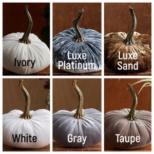 May include: Six velvet pumpkins in various colours, including ivory, white, grey, taupe, platinum, and sand. Each pumpkin has a gold stem and is decorated with the colour name.