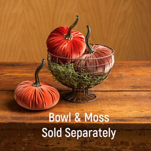 May include: Three velvet pumpkins in a wire bowl with moss. The pumpkins are red and brown. The bowl is filled with moss. The text "Bowl & Moss Sold Separately" is printed below the bowl.
