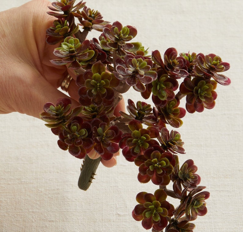 Craft Supplies DIY Terrarium Plants Spring Decor Artificial Small Succulent Mini Greenery Sedum Pick Brown 5 Faux Succulents Wreath