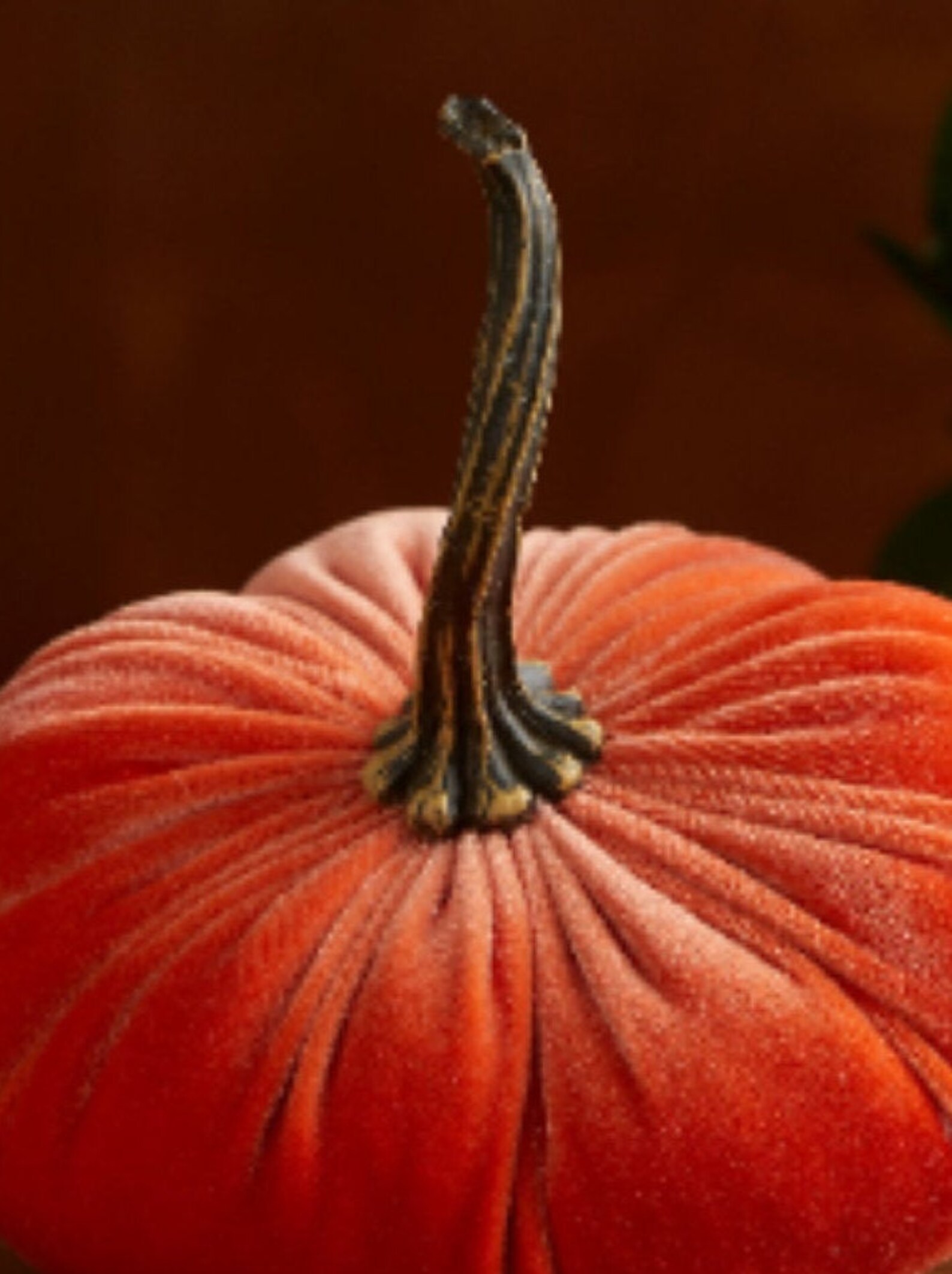Small Velvet Pumpkin Tangerine Halloween Decor Modern Etsy