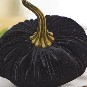 May include: A black velvet pumpkin with a gold stem. The pumpkin is sitting on a white surface.