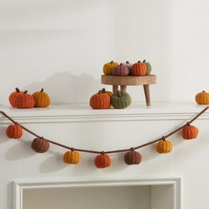 Knit pumpkin garland for mantel 6' garland, fall bookshelf, little pumpkin baby birthday decor, autumn decor garlands, cozy gifts (Honey) image 2