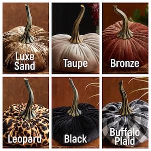 K&ouml;nnte beinhalten: Sechs Samt-K&uuml;rbisse in verschiedenen Farben und Mustern. Die K&uuml;rbisse sind in zwei Reihen zu je drei angeordnet. Die Farben sind Luxe Sand, Taupe, Bronze, Leopard, Schwarz und Buffalo Plaid.