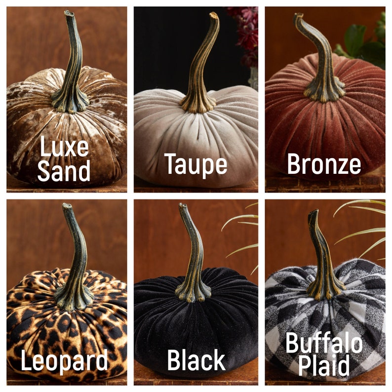 K&ouml;nnte beinhalten: Sechs Samt-K&uuml;rbisse in verschiedenen Farben und Mustern. Die K&uuml;rbisse sind in zwei Reihen zu je drei angeordnet. Die Farben sind Luxe Sand, Taupe, Bronze, Leopard, Schwarz und Buffalo Plaid.