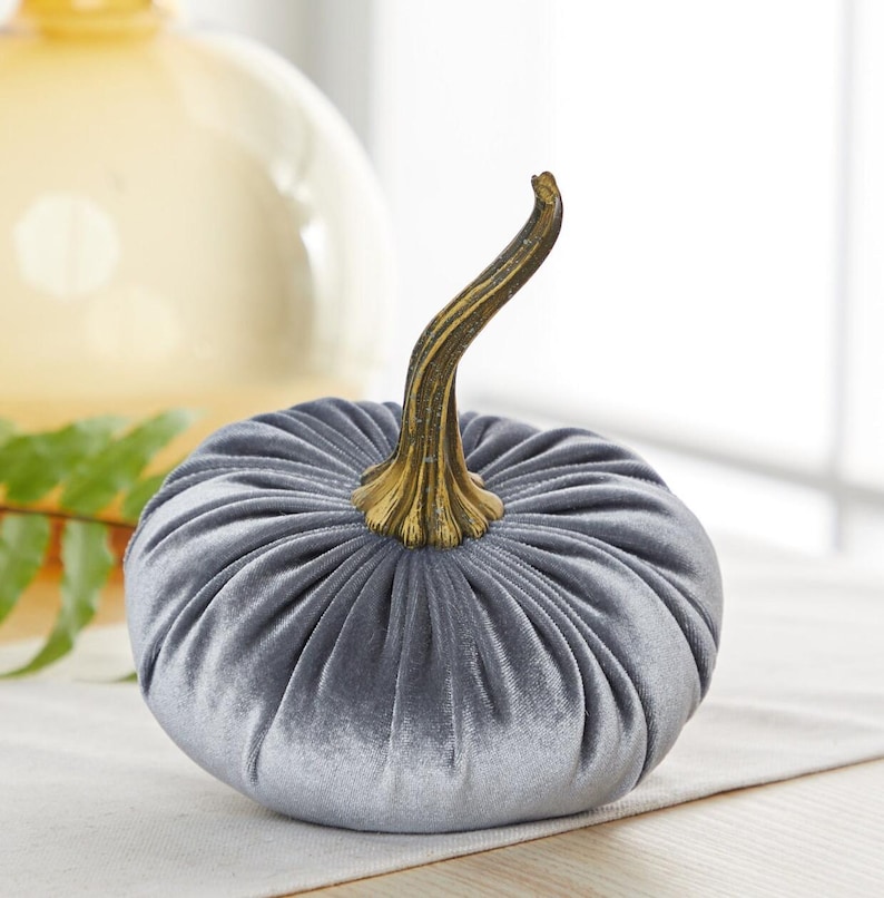 May include: A plush, grey velvet pumpkin with a textured surface. The pumpkin has a detailed, curved, gold-toned stem. This decorative item is perfect for autumn-themed home decor.