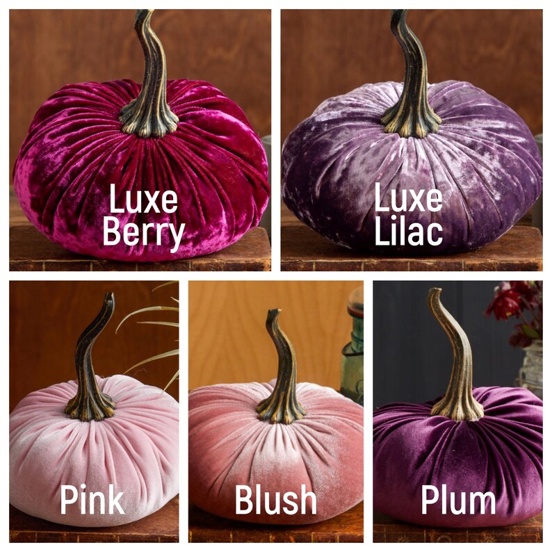 K&ouml;nnte beinhalten: F&uuml;nf Samt-K&uuml;rbisse in verschiedenen Farben: Luxe Berry, Luxe Lilac, Pink, Blush und Prune. Die K&uuml;rbisse haben einen Vintage-Look und sind perfekt f&uuml;r die Herbstdekoration.