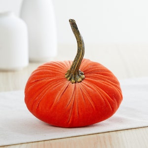 K&ouml;nnte beinhalten: Ein leuchtend orangefarbener Samt-K&uuml;rbis mit einem braunen Stiel. Der K&uuml;rbis liegt auf einer wei&szlig;en Oberfl&auml;che.