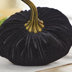 May include: A black velvet pumpkin with a gold stem. The pumpkin is a decorative item for the home.