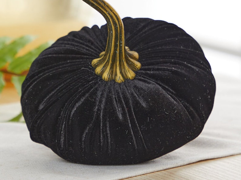 May include: A black velvet pumpkin with a gold stem. The pumpkin is a decorative item for the home.