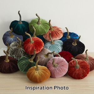 Op de afbeelding: Een verzameling van fluwelen pompoenen in verschillende kleuren, waaronder teal, groen, rood, blauw, zwart en bruin. De pompoenen zijn in een halve cirkel op een houten oppervlak gerangschikt.