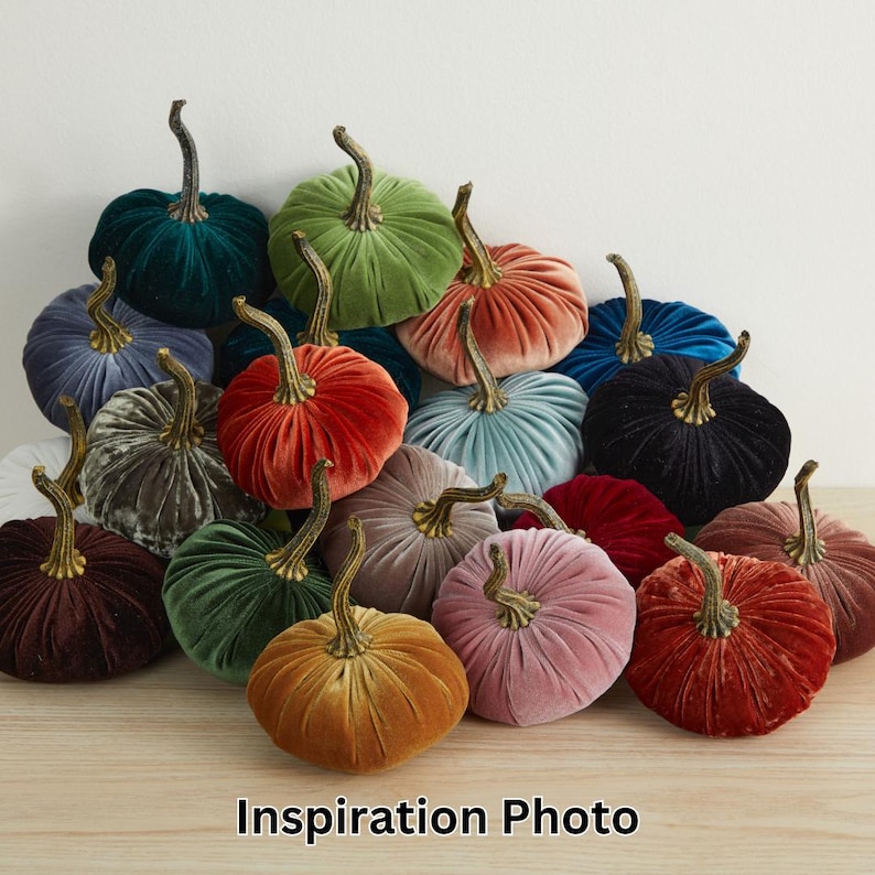 Op de afbeelding: Een verzameling van fluwelen pompoenen in verschillende kleuren, waaronder teal, groen, rood, blauw, zwart en bruin. De pompoenen zijn in een halve cirkel op een houten oppervlak gerangschikt.