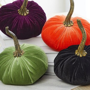 K&ouml;nnte beinhalten: Vier Samt-K&uuml;rbisse in verschiedenen Farben: Lila, Orange, Gr&uuml;n und Schwarz. Die K&uuml;rbisse sind alle gleich gro&szlig; und haben eine klassische K&uuml;rbisform.
