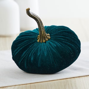 Op de afbeelding: Een teal fluwelen pompoen met een gouden steel. De pompoen ligt op een wit oppervlak.
