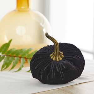 May include: A black velvet pumpkin with a gold stem. The pumpkin is sitting on a white surface.