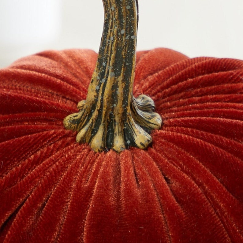 Pu&ograve; includere: Primo piano di una zucca di velluto rosso con uno stelo marrone. La zucca ha una texture a coste ed &egrave; una decorazione autunnale popolare.