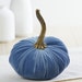 see more listings in the Small Velvet Pumpkins section