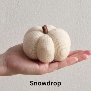 May include: A cream-colored, knitted pumpkin with a brown stem, held in a person's hand. The pumpkin has a ribbed texture and is labeled "Snowdrop" in a black font at the bottom.