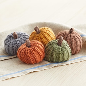 Gebreide pompoenen set van 5, minipompoendecor, gezellige herfstpompoen gelaagd dienbladdecor, oktober verjaardagscadeau voor haar, salie groene pompoen