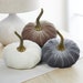 see more listings in the Large Velvet Pumpkins section