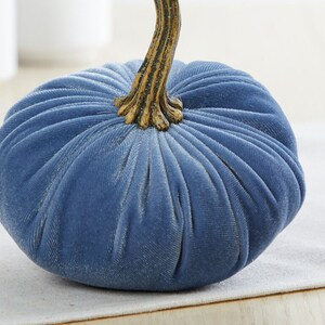 May include: A blue velvet pumpkin with a gold stem. The pumpkin is a decorative item for fall and autumn.