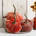 see more listings in the Large Velvet Pumpkins section