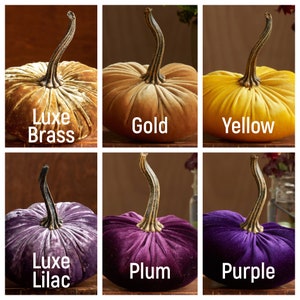 May include: Six velvet pumpkins in different colours: Luxe Brass, Gold, Yellow, Luxe Lilac, Plum, and Purple.