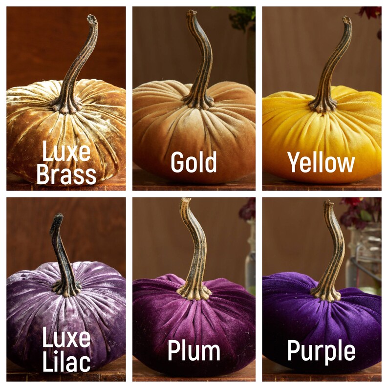 May include: Six velvet pumpkins in different colours: Luxe Brass, Gold, Yellow, Luxe Lilac, Plum, and Purple.