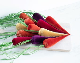 Velvet Carrots Create Your Own Set of Colors, Spring Tablescape, Cottagecore Decor, Entry Door Hanging, Housewarming Gift, Vibrant