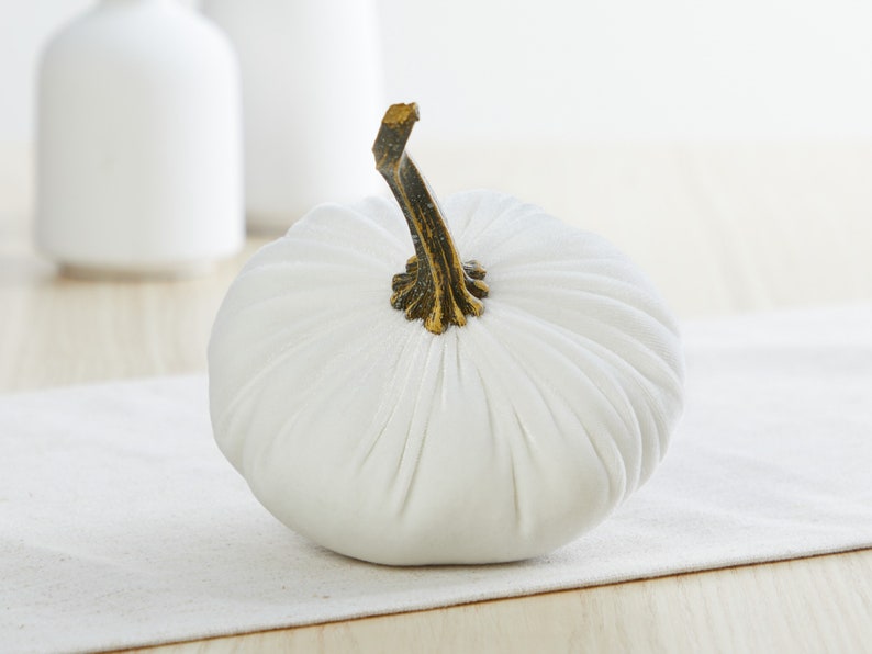 Små sammetspumpor och rustikt träbricka med handtag, mysig presentpumpabricka för soffbord, neutral lantlig inredning i vardagsrummet bild 8