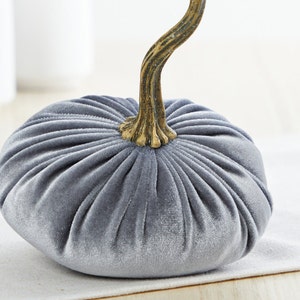 Small Velvet Pumpkin, wedding centerpiece, dessert table decor, home decor trends, barn wedding party favor, best selling item Gray image 6