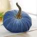 see more listings in the Large Velvet Pumpkins section